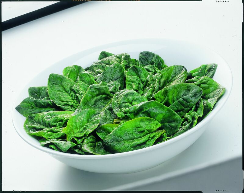 Gem�se Blattspinat portioniert