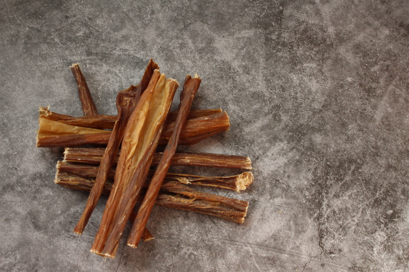 Hund Solettini getrocknet