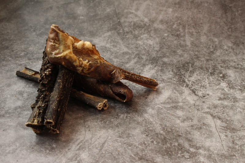 Hund Fleckstangerl getrocknet